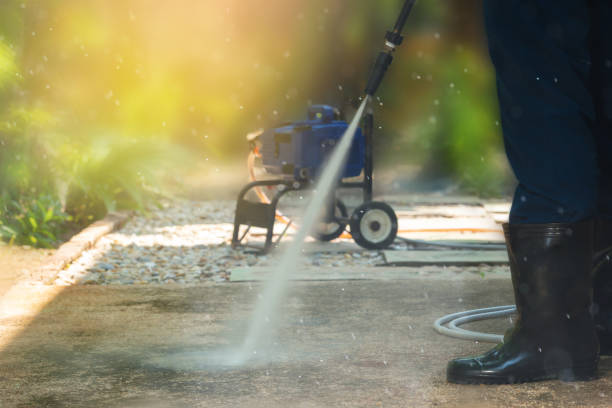 Best Animal Enclosure Cleaning  in Laurel Hill, VA